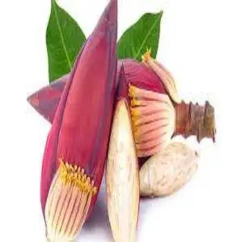  Banana Flower